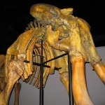 RV mammoth  close.jpg